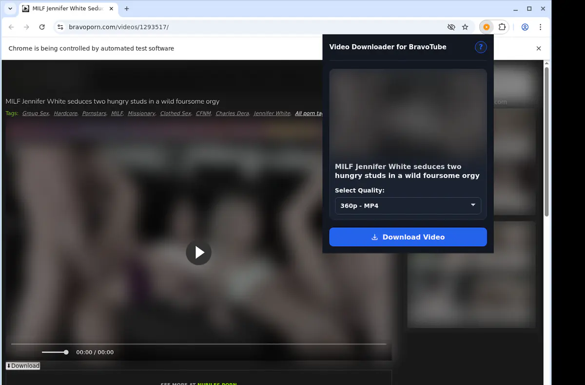 Bravotube Video Downloader browser extension screenshot 4
